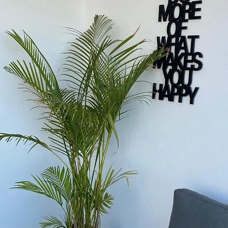 Apartment Um Die Seele Baumeln Zu Lassen Marbella
